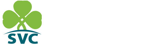 Shamrock Visa Consultants